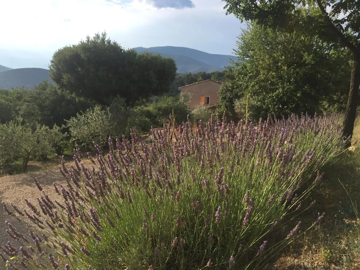 Appartement Le Voltigeur du Ventoux à Entrechaux France