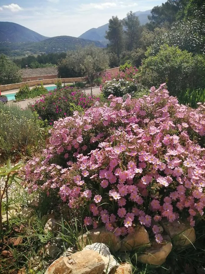 Appartement Le Voltigeur du Ventoux à Entrechaux